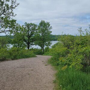 Meet your Posher, Hailey